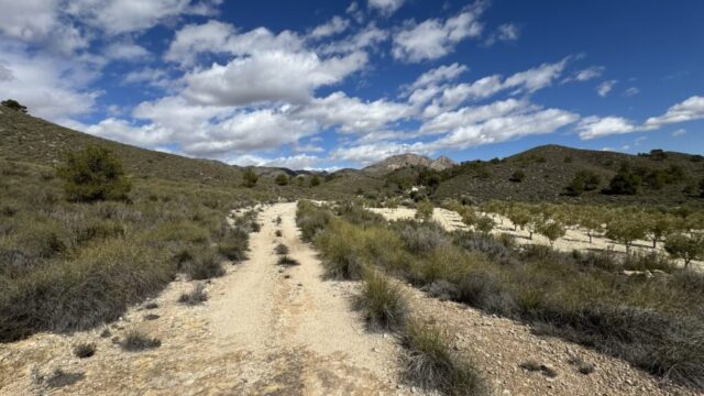 Feldweg in der spanischen Pampa, in der Nähe von Murcia.